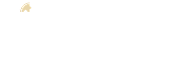 Forge Performance Group